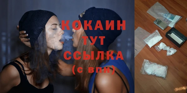 твердый Абаза