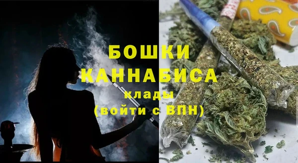 твердый Абаза